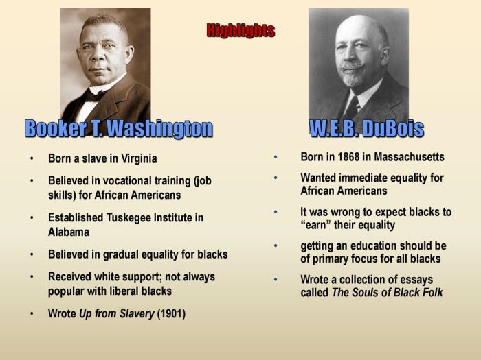 Compare and contrast washington and dubois