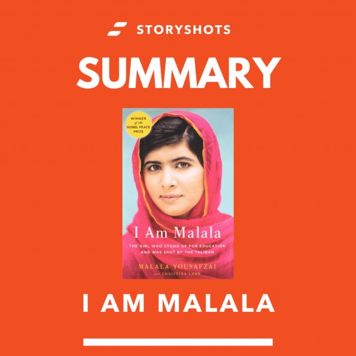 I am malala chapter summary