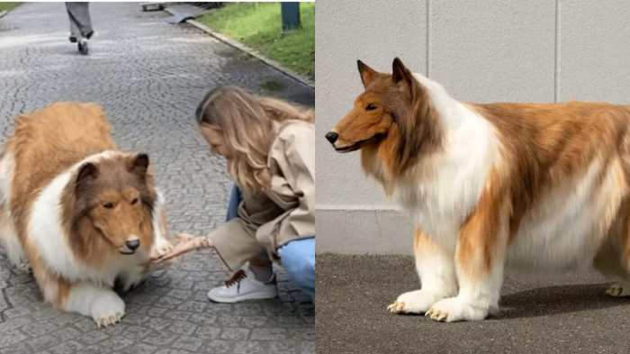 El hombre que se convirtio en perro