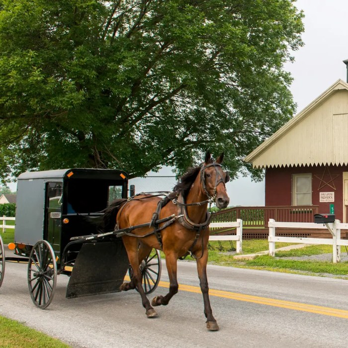 Sugarcreek village ohio amish country cuckoo everyone come why find