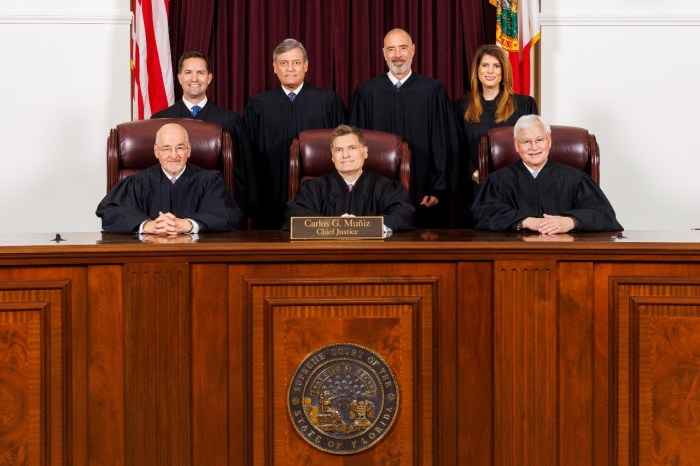 Florida v royer case brief