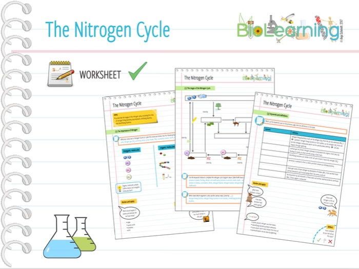 Nitrogen cycle worksheet answers pdf