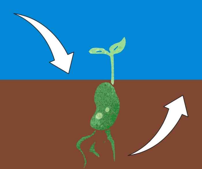 Sediment from source to sink activity 6.2