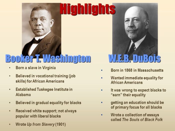 Compare and contrast washington and dubois