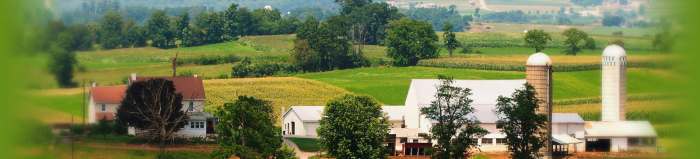 Amish shops shop beans pennsylvania village