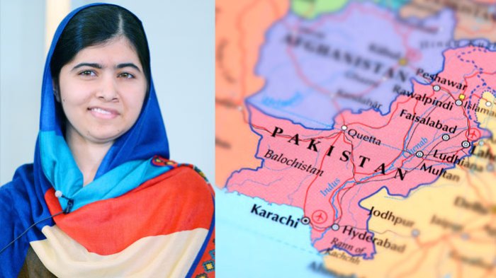 I am malala chapter summary