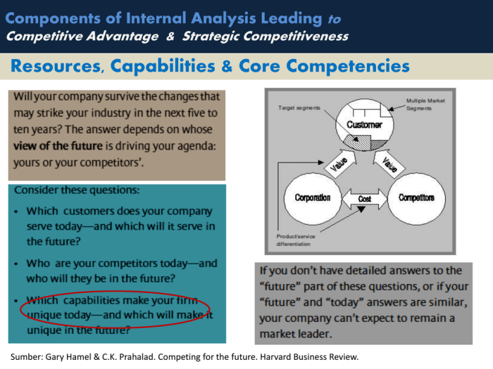 Organizing firm specific resources and capabilities as a bundle