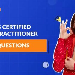 Safe 5.0 practitioner exam questions and answers pdf